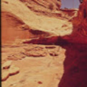 Meet your Posher, Richard